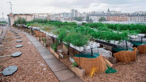 La Ville de Paris et le groupe RATP inaugure la Ferme Lachambeaudie