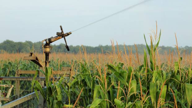 Eau : 3 millions d'euros pour des projets agricoles innovants dans le bassin Rhône Méditerranée