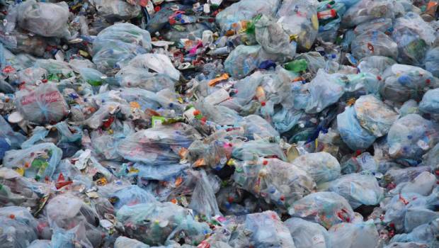 8,3 milliards de tonnes de matières plastiques ont été produites dans le monde depuis 1950