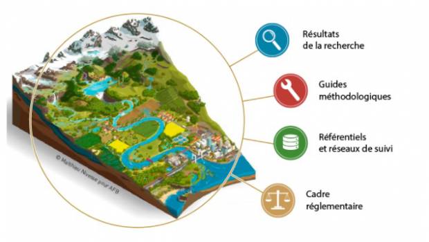 Une association crée un outil pour évaluer la qualité des cours d'eau en  France