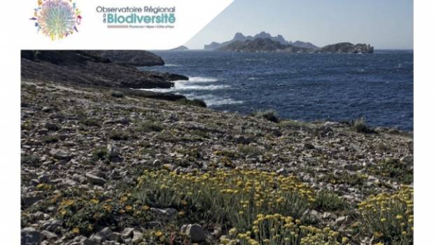 En Provence-Alpes-Côte d’Azur, la biodiversité est sous surveillance