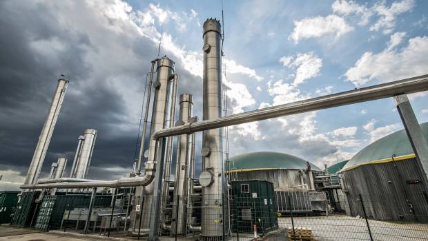 Les gaz verts, un potentiel à exploiter « en urgence »
