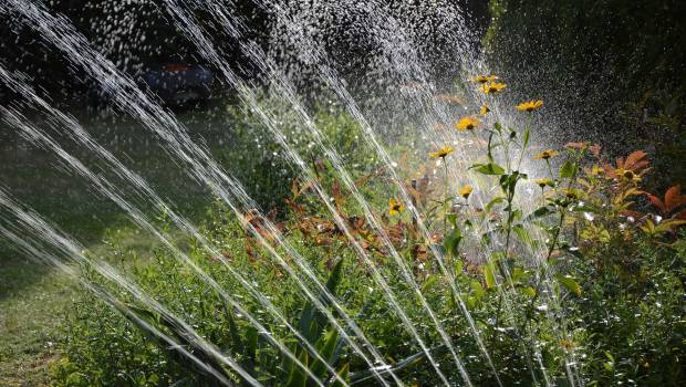 Urbasense innove pour stopper le gaspillage d'eau dans les espaces verts