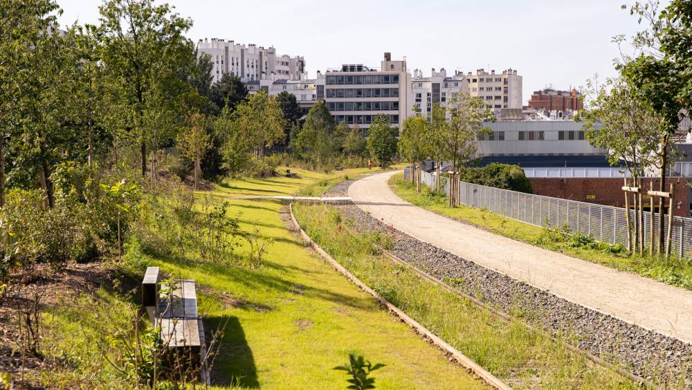 Paris inaugure sa deuxième « forêt urbaine »