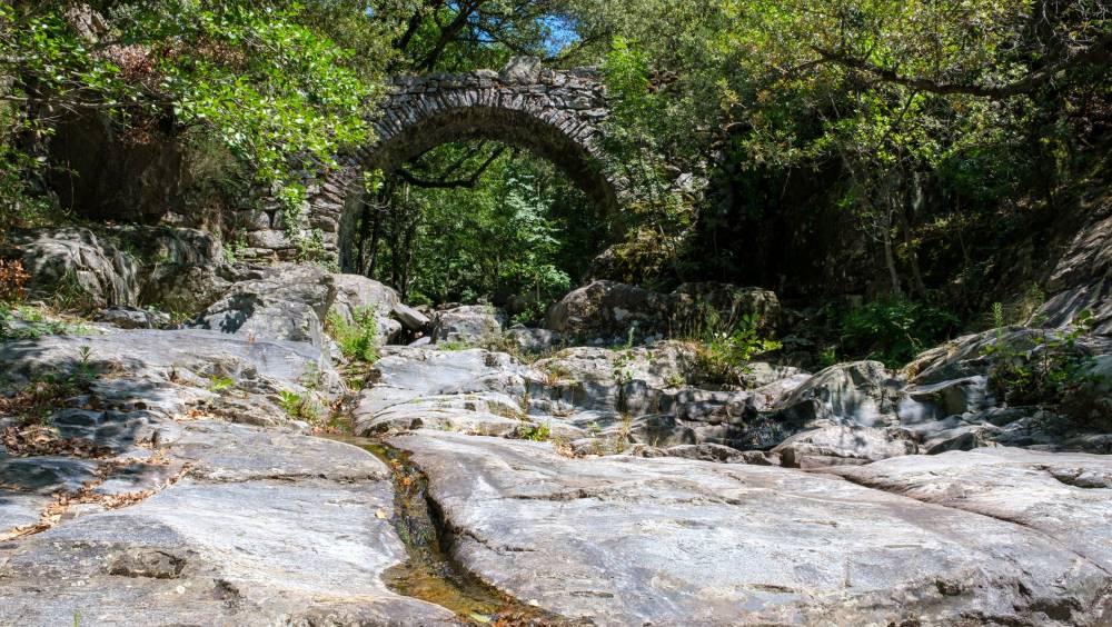 Protection des milieux :  les petits ruisseaux sur une grande civière