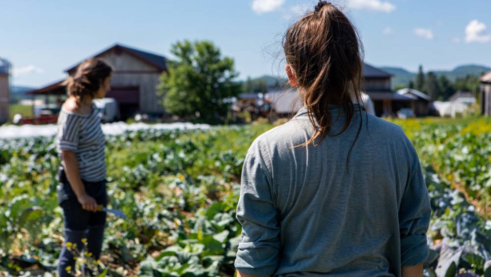 Ressource en eau et agriculture bio/2 | le territoire Seine-Eure préserve son capital naturel