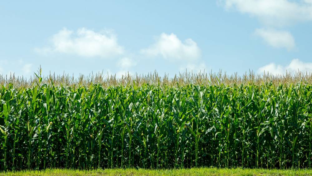 Ressource en eau et agriculture bio/4 | Eau de Paris affine son PSE « maison »