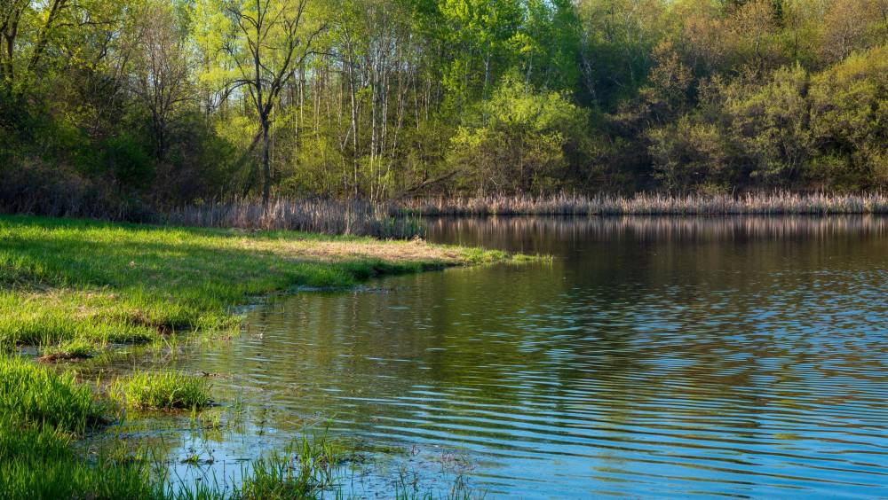 Bassin de la Vienne : étangs en emportent la ressource