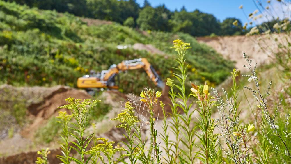 Compensation écologique : une « foncière de biodiversité » créée par la CDC biodiversité et la Banque des territoires