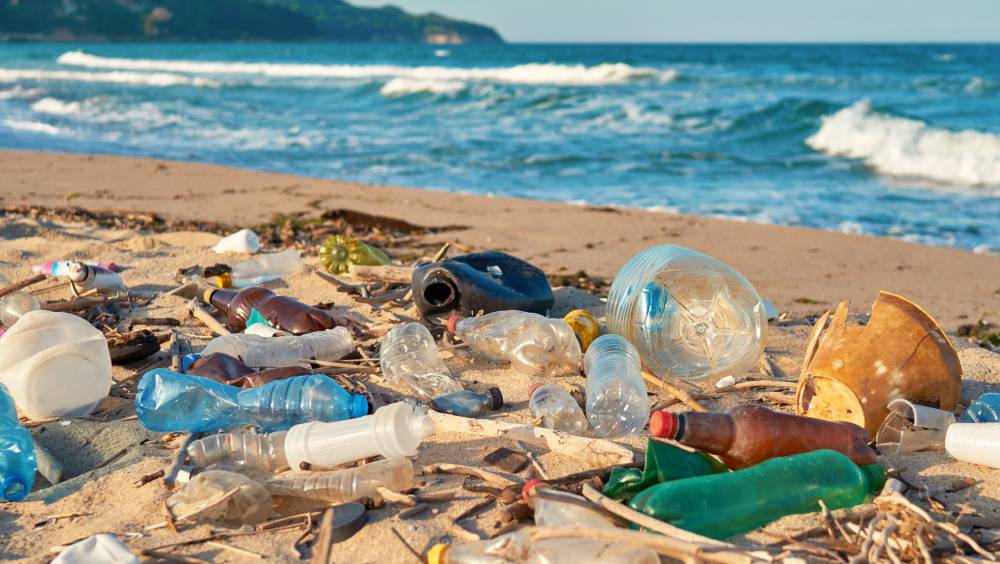 Pollution plastique : finalisation d’un traité mondial à Busan