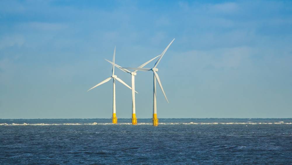 Eolien en mer et biodiversité :  la française Cosma récompensée par RWE