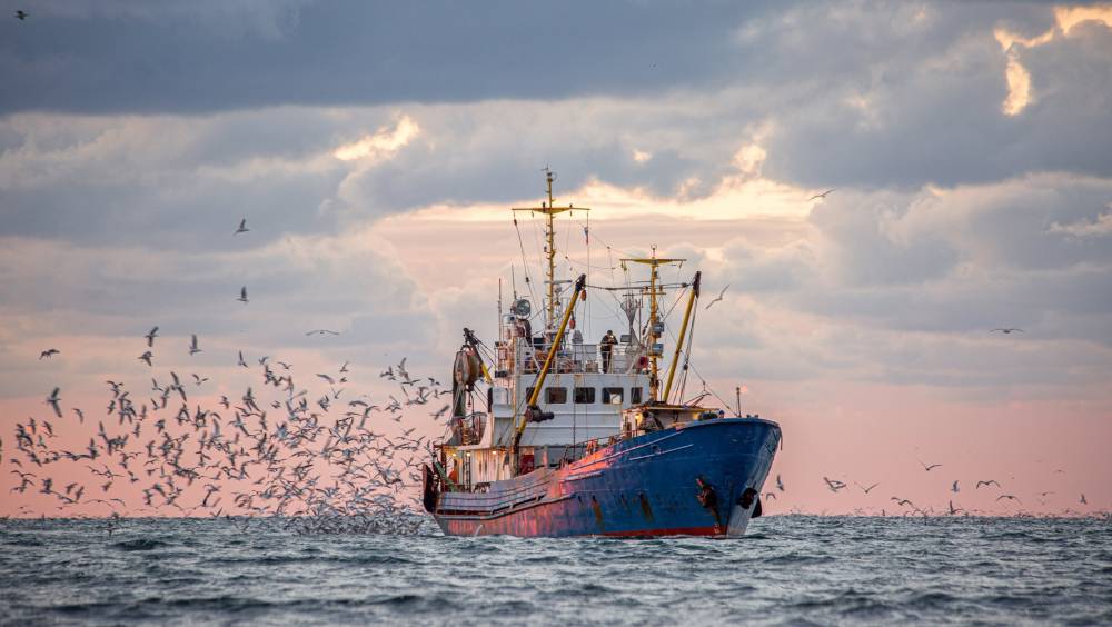 Un nouveau patrouilleur écologique pour le contrôle de la pêche