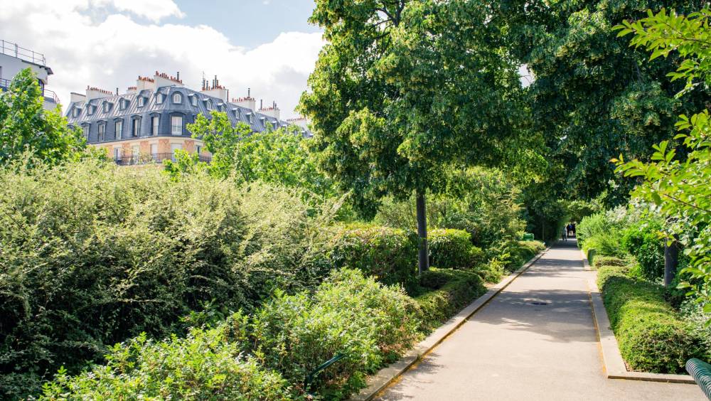 Les arbres en ville : pourquoi il n’y a pas que le nombre qui compte