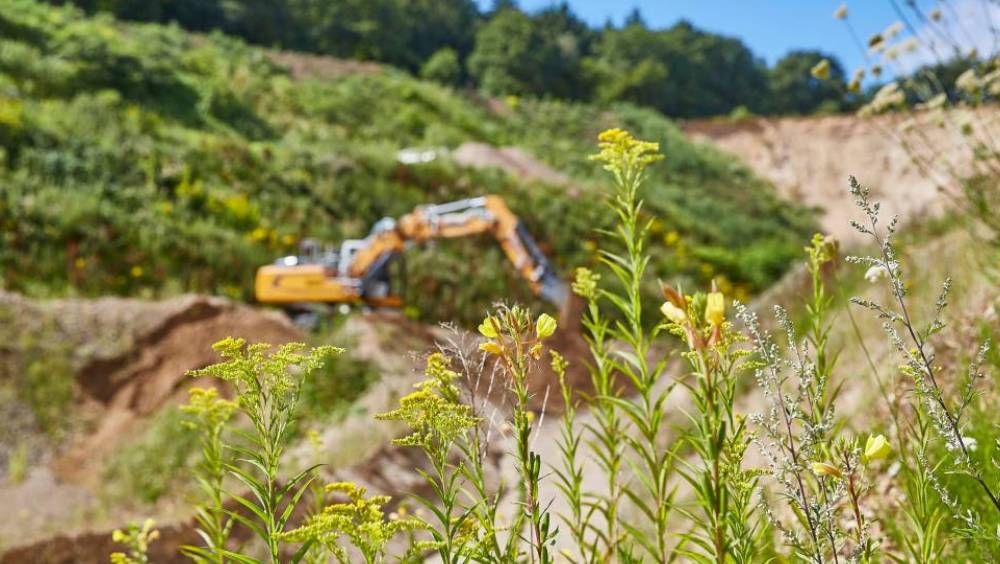 La BEI et CDC Biodiversité signent un partenariat pour étudier le placement de crédits biodiversité