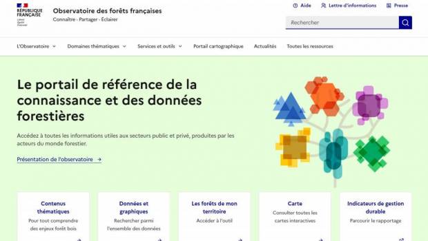 L'Observatoire des forêts françaises fait peau neuve
