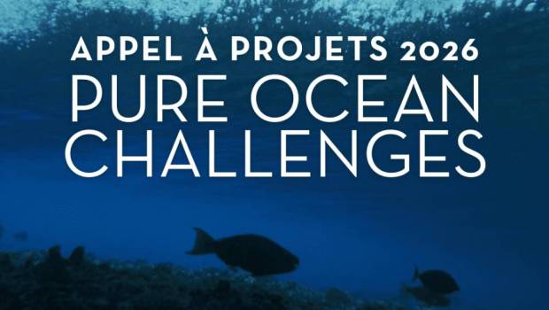 Pure Ocean : un nouvel appel à projets pour protéger l’océan
